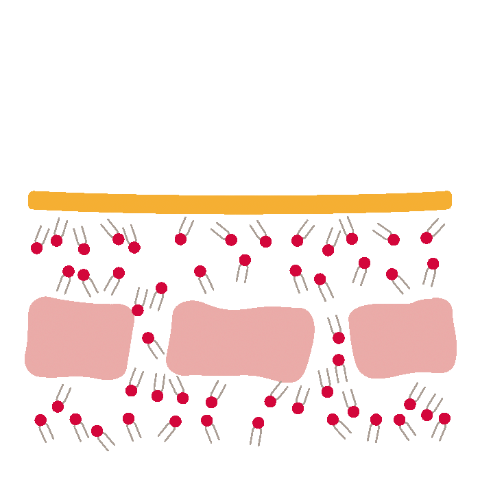 Cermide